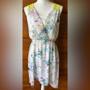 Express Sleeveless Dress
